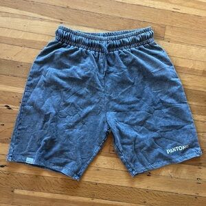 Boohoo PANTONE 80s 90s distressed shorts jersey grey acid washed 6 M gym Y2K